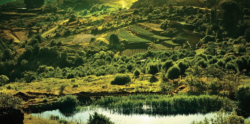 Nature Takes Hold of Ahlam Golf & Mountain Village 